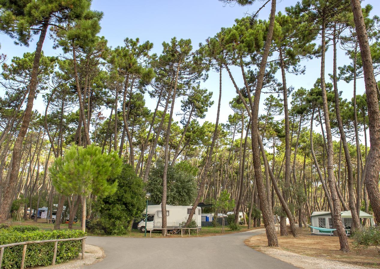 Campeggio Baia Verde Castiglione della Pescaia Exterior foto